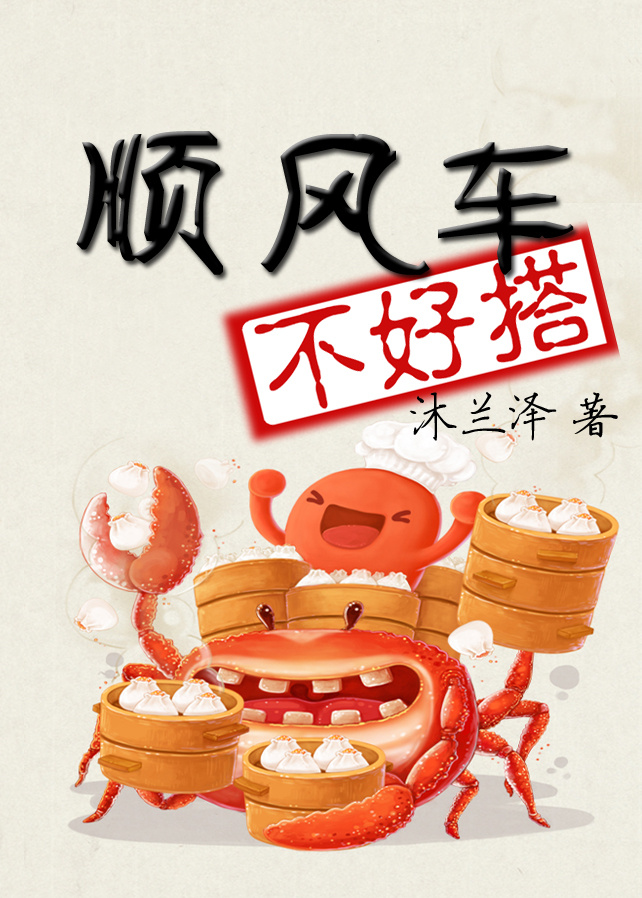 顺风车TXT全集封面