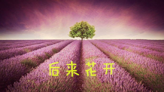 后来花开TXT全集封面