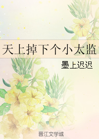 ���ϵ��¸�С̫��