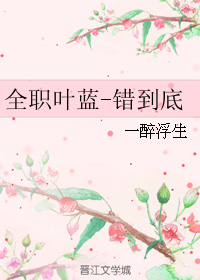 (全职同人)全职叶蓝-错到底TXT全集封面