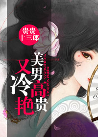 美男高贵又冷艳(女配)TXT全集封面