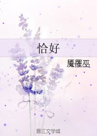 (影视同人)恰好TXT全集封面