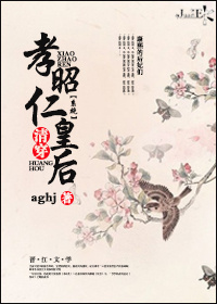 清穿孝昭仁皇后(系统) 作者:aghjTXT全集封面