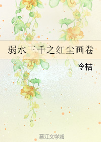 弱水三千之红尘画卷TXT全集封面