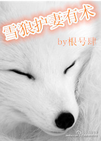 ѩǻTXTȫ