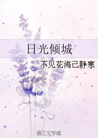 (韩娱同人)日光倾城TXT全集封面