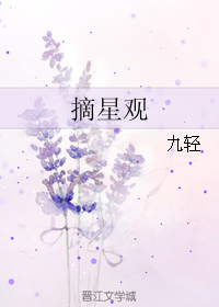 摘星观TXT全集封面
