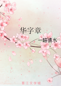 华字章+折花枝TXT全集封面