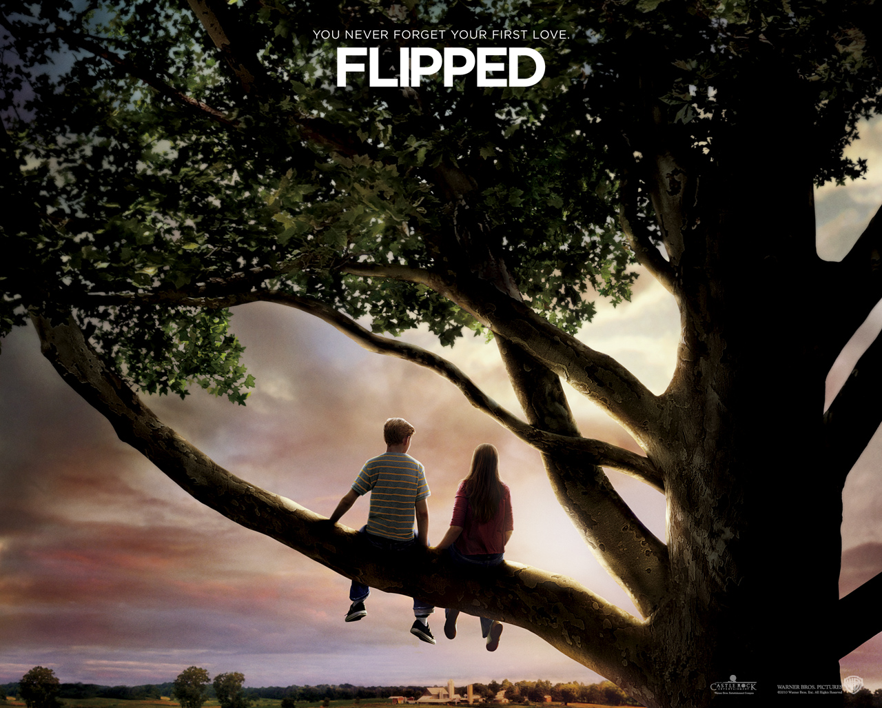 flipped(Ӣİ)TXTȫ