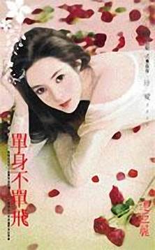 单身不单飞TXT全集封面