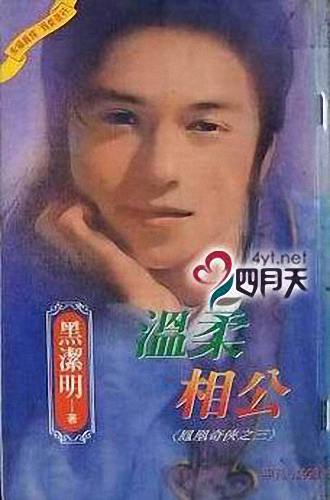 温柔相公TXT全集封面