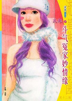 斗气冤家妙情缘TXT全集封面