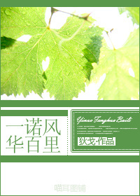 一诺风华百里TXT全集封面