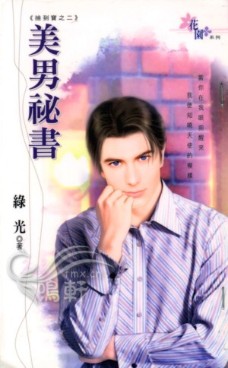 美男秘书TXT全集封面