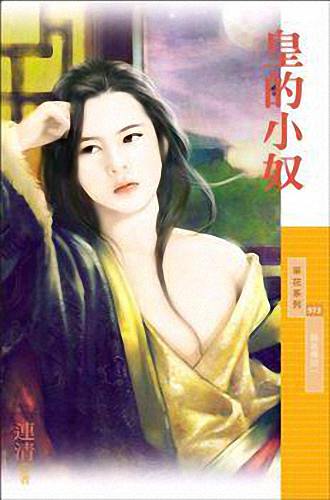 皇的小奴TXT全集封面