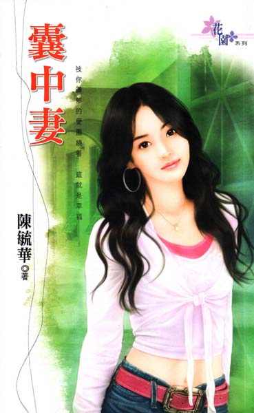 囊中妻TXT全集封面