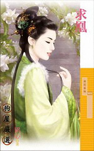 求凰TXT全集封面