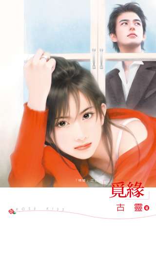 觅缘TXT全集封面