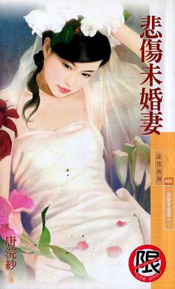 悲伤未婚妻TXT全集封面