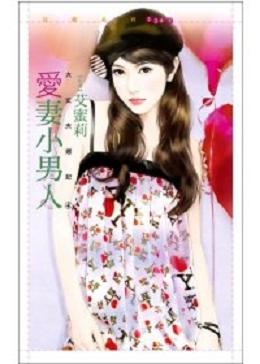 爱妻小男人TXT全集封面
