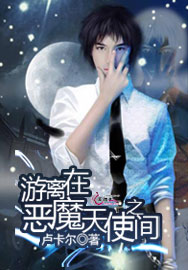 游离在恶魔天使之间TXT全集封面