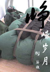 峥嵘岁月TXT全集封面