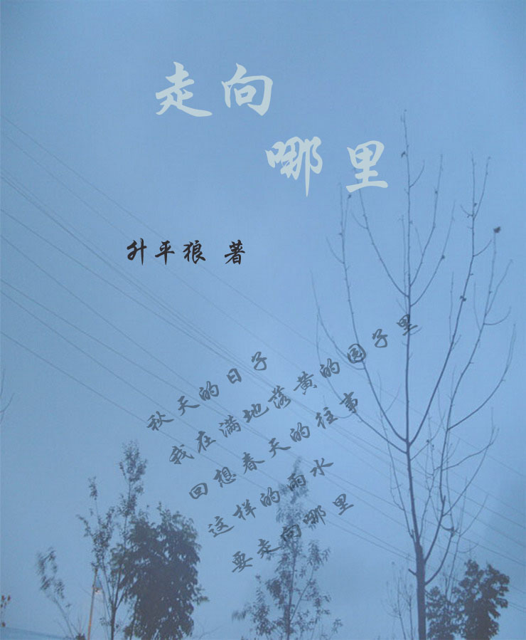 走向哪里TXT全集封面