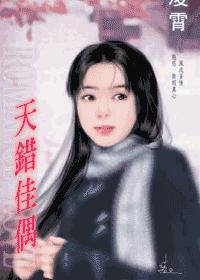 天错佳偶TXT全集封面