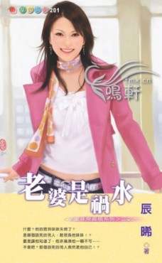 老婆是祸水TXT全集封面
