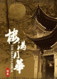 楼满月华TXT全集封面
