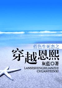 蓝色生死恋之穿越恩熙TXT全集封面