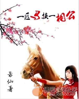 一匹马换一相公TXT全集封面