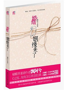 飘阿兮-婚结:姻缘未了(出版)TXT全集封面