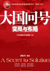 大国问号:变局与布局TXT全集封面