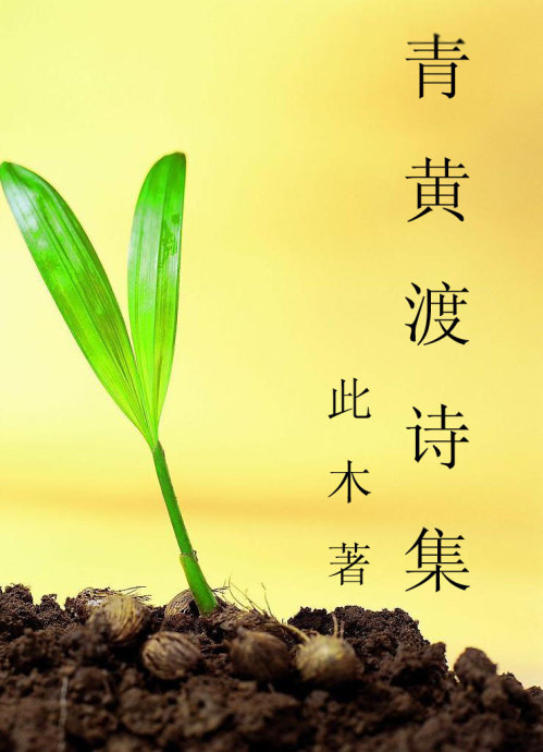 青黄渡诗集TXT全集封面