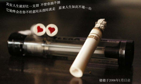羽落 碎语TXT全集封面