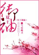 双王御袖 完TXT全集封面