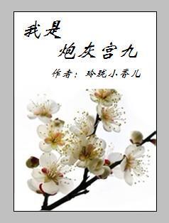 我是炮灰宫九TXT全集封面