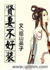 贤妻不好装TXT全集封面