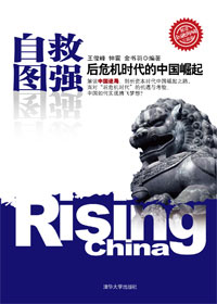 自救图强:后危机时代的中国崛起TXT全集封面