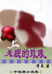 恋上失眠的玫瑰TXT全集封面