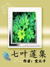 七叶莲集TXT全集封面