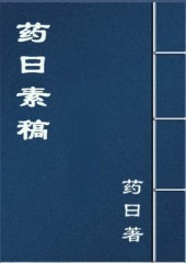 药曰素稿TXT全集封面