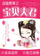 逗猫惹草之宝贝夫君TXT全集封面