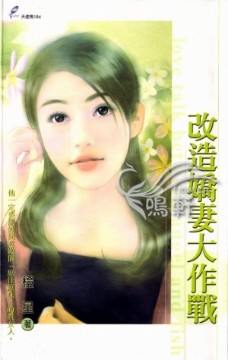 改造娇妻大作战TXT全集封面