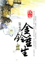 (宫心计同人)金铃重生TXT全集封面