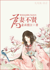 为妻不贤(wan)TXT全集封面