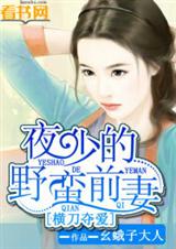 横刀夺爱:夜少的野蛮前妻TXT全集封面