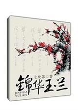 锦华玉兰TXT全集封面