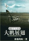 一帘幽梦之大鹏展翅TXT全集封面